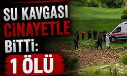 Su kavgası cinayetle bitti: 1 ölü