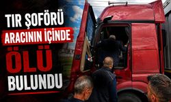 Tır şoförü aracının içinde ölü bulundu