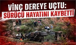 Vinç dereye uçtu: Sürücü hayatını kaybetti