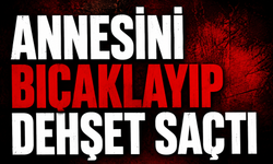 Annesini bıçaklayıp dehşet saçtı