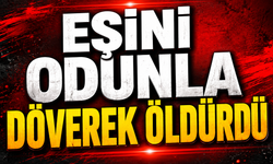 Eşini odunla döverek öldürdü