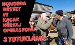 KOMŞUDA RÜŞVET VE KAÇAK KÜRTAJ OPERASYONU; 3 TUTUKLAMA