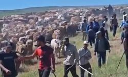 Muş’ta iki köy arasında 'arazi' kavgası: 2 yaralı