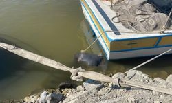 Asi Nehri'nde erkek cesedi bulundu