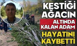 Kestiği ağacın altında kalan adam hayatını kaybetti