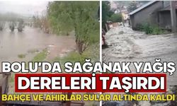 Bolu’da sağanak yağış dereleri taşırdı: Bahçe ve ahırlar sular altında kaldı