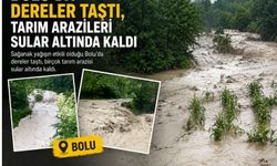 Bolu'da taşan dereler arazileri mahvetti