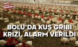 Bolu'da kuş gribi krizi, alarma geçildi
