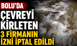 Bolu'da Çevreyi Kirleten 3 Firmanın İzni İptal Edildi