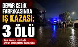 Demir çelik fabrikasında iş kazası: 3 ölü