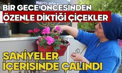 Bir gece öncesinden özenle diktiği çiçekler saniyeler içerisinde çalındı