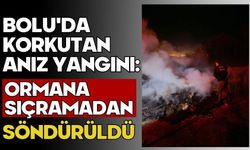 Bolu'da korkutan anız yangını: Ormana sıçramadan söndürüldü