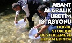 Abant alabalık üretim istasyonu doğal stokları desteklemeye devam ediyor