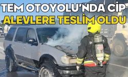 TEM Otoyolu’nda cip alevlere teslim oldu