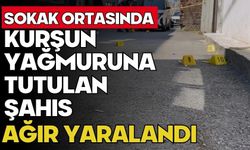 Alkollü araç kullanan sürücü jandarmadan kaçamadı