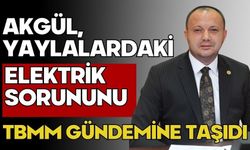 Akgül, Yaylalardaki Elektrik Sorununu TBMM Gündemine Taşıdı