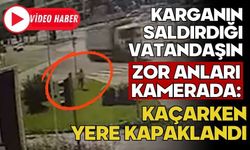 Karganın saldırdığı vatandaşın zor anları kamerada: Kaçarken yere kapaklandı