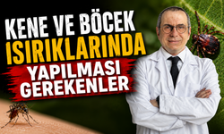 Kene ve böcek ısırıklarında yapılması gerekenler