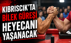KIBRISCIK'TA BİLEK GÜREŞİ HEYECANI YAŞANACAK
