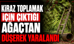 Kiraz toplamak için çıktığı ağaçtan düşerek yaralandı