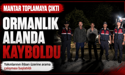 Mantar toplamaya çıktı, ormanlık alanda kayboldu