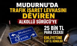 Mudurnu'da Alkollü Sürücü Kaçamadı: 25 Bin TL Ceza