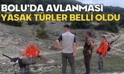 Bolu'da avlanması yasak türler belli oldu