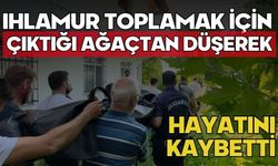 Ihlamur toplamak için çıktığı ağaçtan düşerek hayatını kaybetti