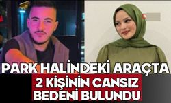 Park halindeki araçta 2 kişinin cansız bedeni bulundu