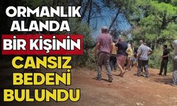 Ormanlık alanda bir kişinin cansız bedeni bulundu