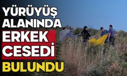 Yürüyüş alanında erkek cesedi bulundu