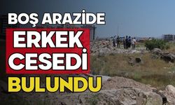 Boş arazide erkek cesedi bulundu