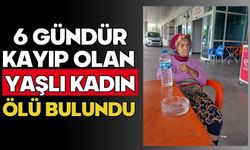 6 gündür kayıp olan yaşlı kadın ölü bulundu