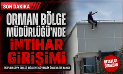 Son Dakika, Orman Bölge Müdürlüğü'nde İntihar Girişimi