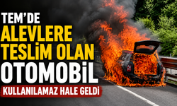 TEM'de alevlere teslim olan otomobil kullanılamaz hale geldi