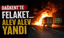 Bolu'da tır alev topuna döndü