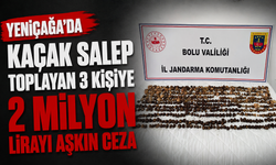 Yeniçağa’da Kaçak Salep Toplayan 3 Kişiye 2 Milyon Lirayı Aşkın Ceza