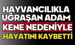 Hayvancılıkla uğraşan adam kene nedeniyle hayatını kaybetti