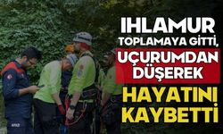 Ihlamur toplamaya gitti, uçurumdan düşerek hayatını kaybetti