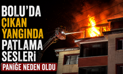 Bolu’da çıkan yangında patlama sesleri paniğe neden oldu
