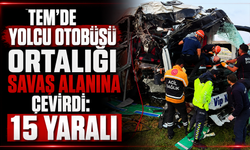 TEM'de yolcu otobüsü ortalığı savaş alanına çevirdi: 15 yaralı