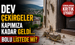 Dev Çekirgeler Kapımıza Kadar Geldi… Bolu Listede mi?