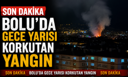 Bolu’da Gece Yarısı Korkutan Yangın