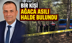 Bir kişi ağaca asılı halde bulundu