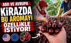 ABD ve Avrupa kirazda bu aromayı özellikle istiyor