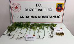 Düzce'de jandarmadan uyuşturucu operasyonu