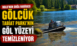 Bolu'nun doğa harikası Gölcük Tabiat Parkı'nın göl yüzeyi temizleniyor
