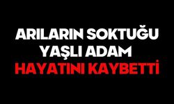 Arıların soktuğu yaşlı adam hayatını kaybetti