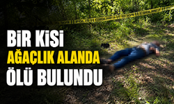 Bir kişi ağaçlık alanda ölü bulundu