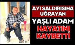 Ayı saldırısına uğrayan yaşlı adam hayatını kaybetti